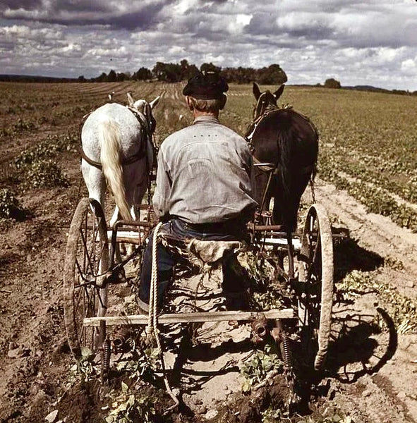 {The Rite Stuff} Heracles 5 oz. Selvedge Chambray Work Shirt (Indigo)