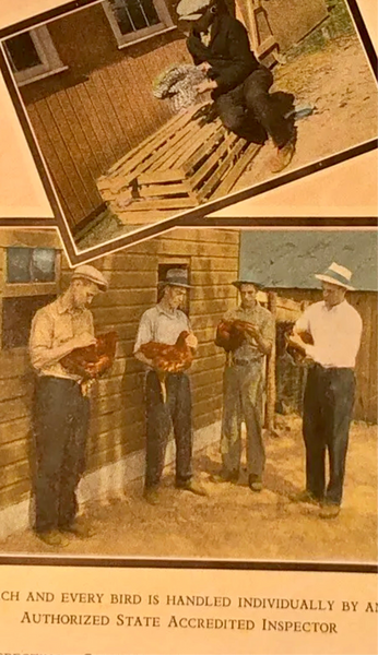 {Pre-order for April ‘26} Oilman 7.7 oz. Chino Twill Work Pants (Black)