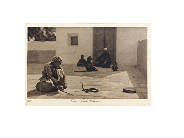 {Vintage} - Vintage Cairo Snake Charmer Postcard (1910s)